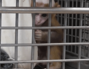 Skärmavbild 2014-09-09 kl. 00.38.58